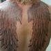tattoo galleries/ - wings - 57623